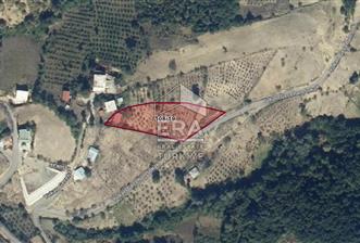 SAMSUN DA  3.217 M2 SATILIK TARLA