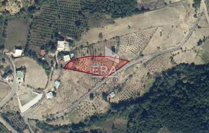 SAMSUN DA  3.217 M2 SATILIK TARLA