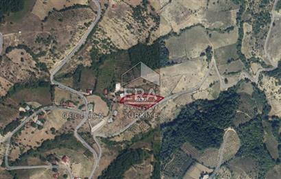 SAMSUN DA  3.217 M2 SATILIK TARLA