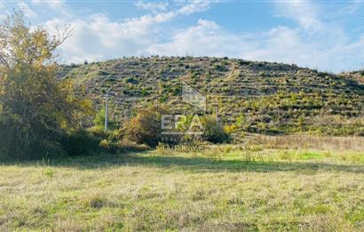 ANTALYA MANAVGAT DEMİRCİLER MAHALLESİ SATILIK TARLA