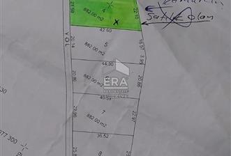 ANTALYA MANAVGAT HATIPLAR'DA SATILIK 989 m2 TARLA