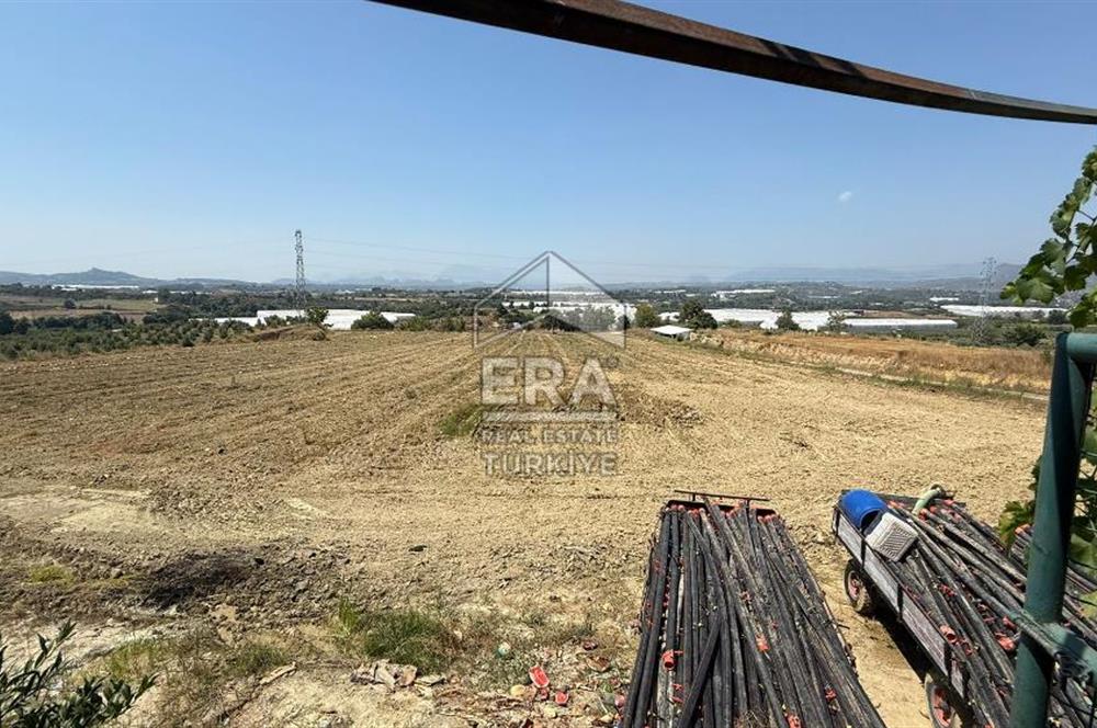 ANTALYA/MANAVGAT YAVRUDOĞAN'DA 15 DÖNÜM KİRALIK TARLA