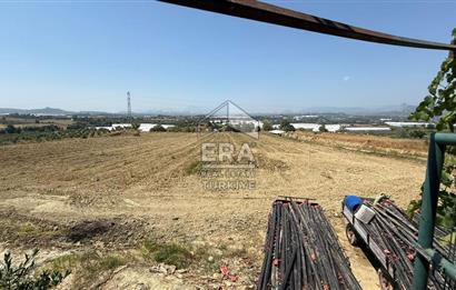 ANTALYA/MANAVGAT YAVRUDOĞAN'DA 15 DÖNÜM KİRALIK TARLA