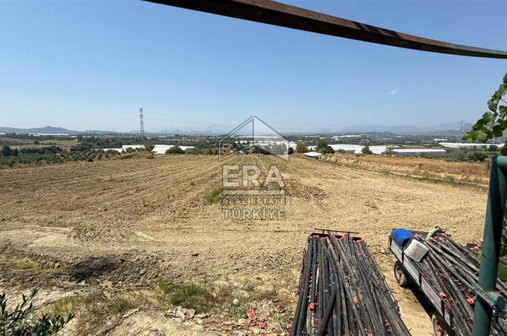 ANTALYA/MANAVGAT YAVRUDOĞAN'DA 15 DÖNÜM KİRALIK TARLA