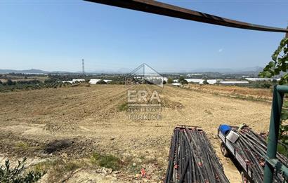 ANTALYA/MANAVGAT YAVRUDOĞAN'DA 15 DÖNÜM KİRALIK TARLA