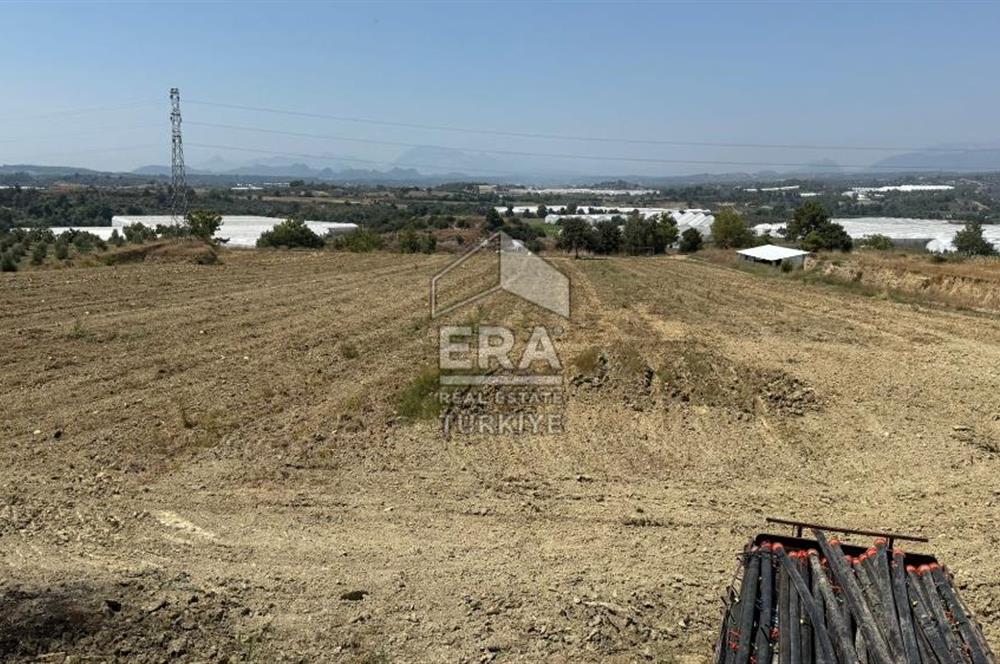 ANTALYA/MANAVGAT YAVRUDOĞAN'DA 15 DÖNÜM KİRALIK TARLA
