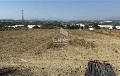 ANTALYA/MANAVGAT YAVRUDOĞAN'DA 15 DÖNÜM KİRALIK TARLA