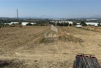 ANTALYA/MANAVGAT YAVRUDOĞAN'DA 15 DÖNÜM KİRALIK TARLA