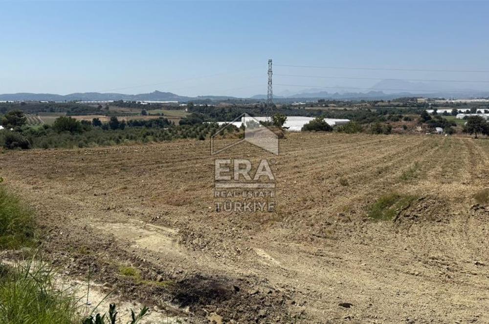 ANTALYA/MANAVGAT YAVRUDOĞAN'DA 15 DÖNÜM KİRALIK TARLA