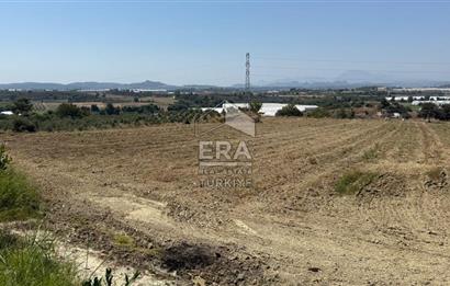 ANTALYA/MANAVGAT YAVRUDOĞAN'DA 15 DÖNÜM KİRALIK TARLA