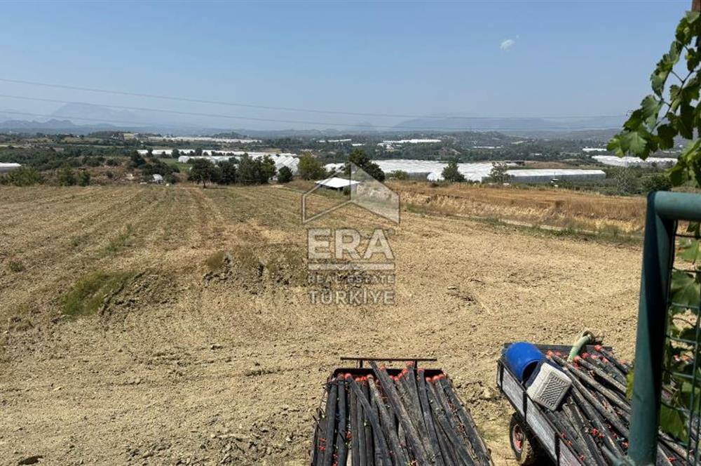 ANTALYA/MANAVGAT YAVRUDOĞAN'DA 15 DÖNÜM KİRALIK TARLA