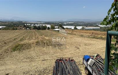 ANTALYA/MANAVGAT YAVRUDOĞAN'DA 15 DÖNÜM KİRALIK TARLA