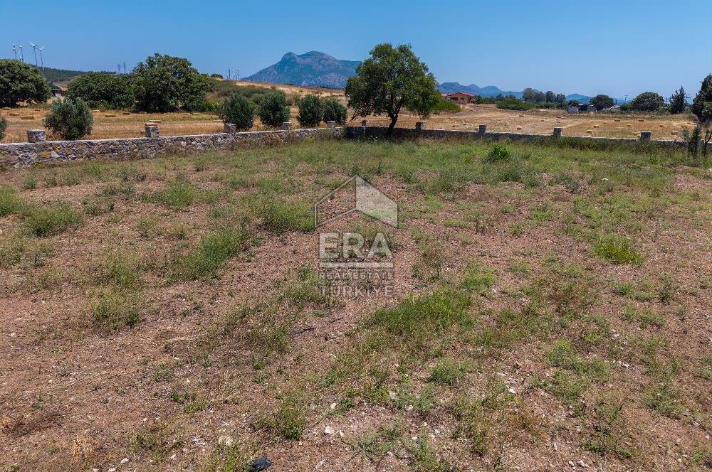 DATÇA KIZLAN'DA SATILIK 1085 m² TARLA