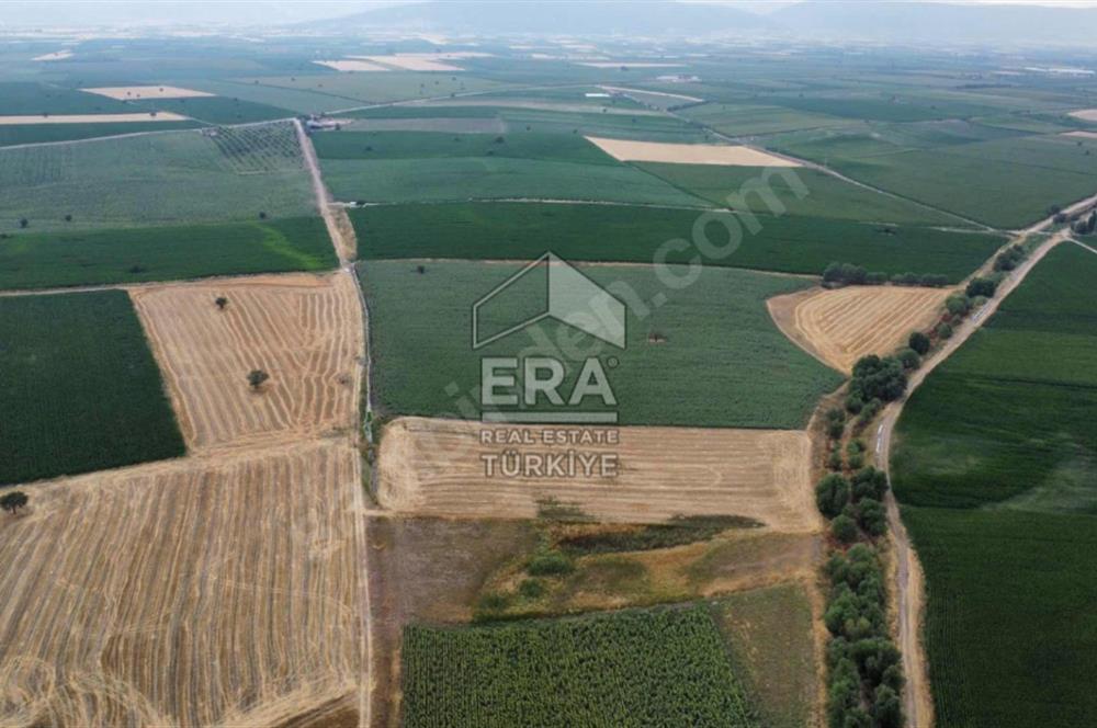 ERA FLY'DAN TAVAS ALTINOVA'DA ACİL SATILIK FIRSAT TARLA