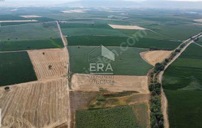 ERA FLY'DAN TAVAS ALTINOVA'DA ACİL SATILIK FIRSAT TARLA