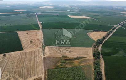 ERA FLY'DAN TAVAS ALTINOVA'DA ACİL SATILIK FIRSAT TARLA