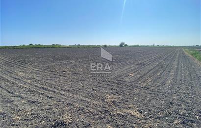 ANTALYA MANAVGAT, ORGANİZE SANAYİ' DE SATILIK 2.517 M2 ARSA