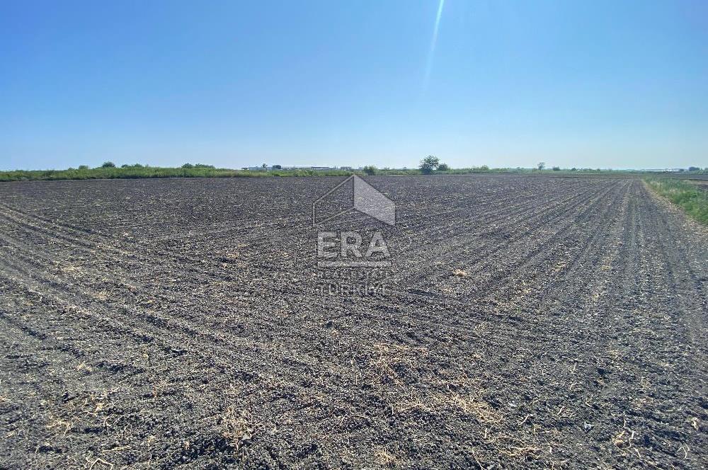 ANTALYA MANAVGAT, ORGANİZE SANAYİ' DE SATILIK 2.517 M2 ARSA