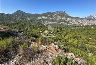 ANTALYA İBRADI AŞAĞI MAHALLE ÇOTAK MEVKİİ SATILIK TEK TAPU TARLA