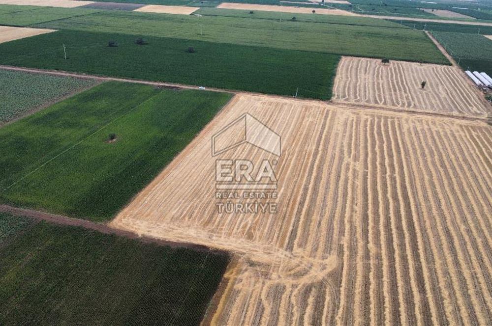 ERA FLY'DAN TAVAS ORTA'DA ACİL SATILIK FIRSAT TARLA