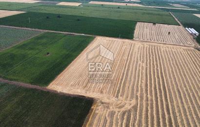 ERA FLY'DAN TAVAS ORTA'DA ACİL SATILIK FIRSAT TARLA