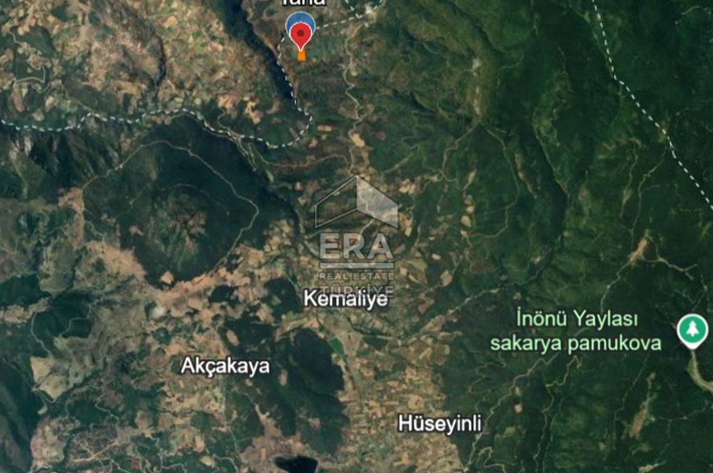 ERA KARAT, PAMUKOVA KEMALİYE, FIRSAT TARLA, 1.803 m²