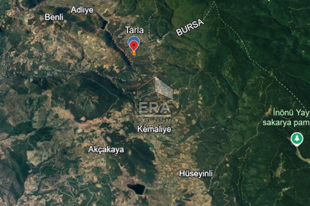 ERA KARAT, PAMUKOVA KEMALİYE, FIRSAT TARLA, 1.803 m²
