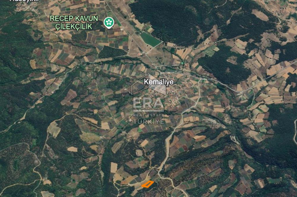 ERA KARAT, PAMUKOVA KEMALİYE, 3.645 m² TARLA, MÜKEMMEL FIRSAT