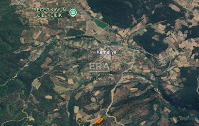 ERA KARAT, PAMUKOVA KEMALİYE, 3.645 m² TARLA, MÜKEMMEL FIRSAT