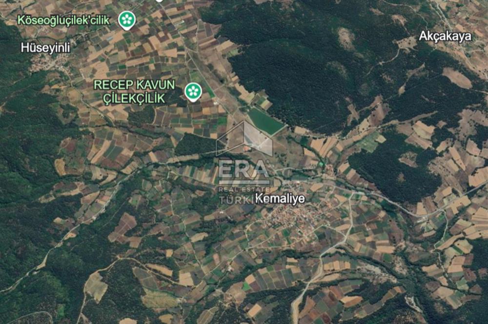 ERA KARAT, PAMUKOVA KEMALİYE, 3.645 m² TARLA, MÜKEMMEL FIRSAT