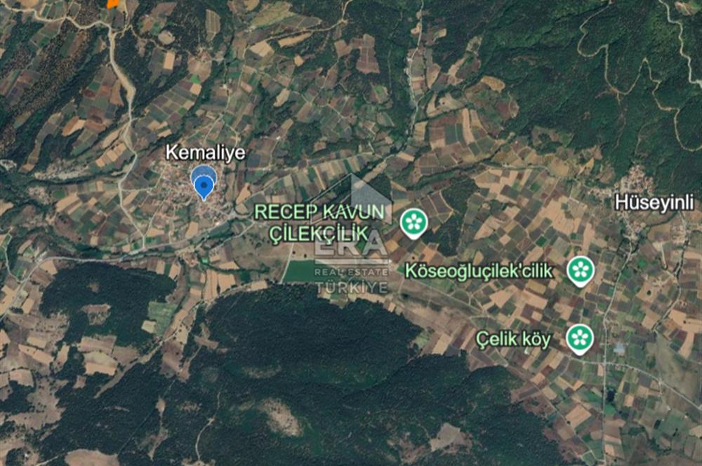 ERA KARAT, PAMUKOVA KEMALİYE, 3.645 m² TARLA, MÜKEMMEL FIRSAT