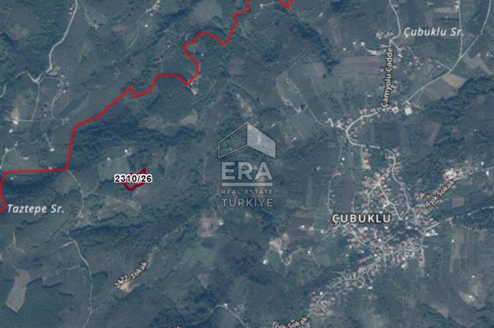 ERA KARAT, SERDİVAN KAZIMPAŞA MANZARALI 4871 m² TARLA