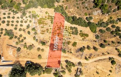 Datça Hızırşah'ta Satılık Deniz Manzaralı 1.051 m2 Tarla