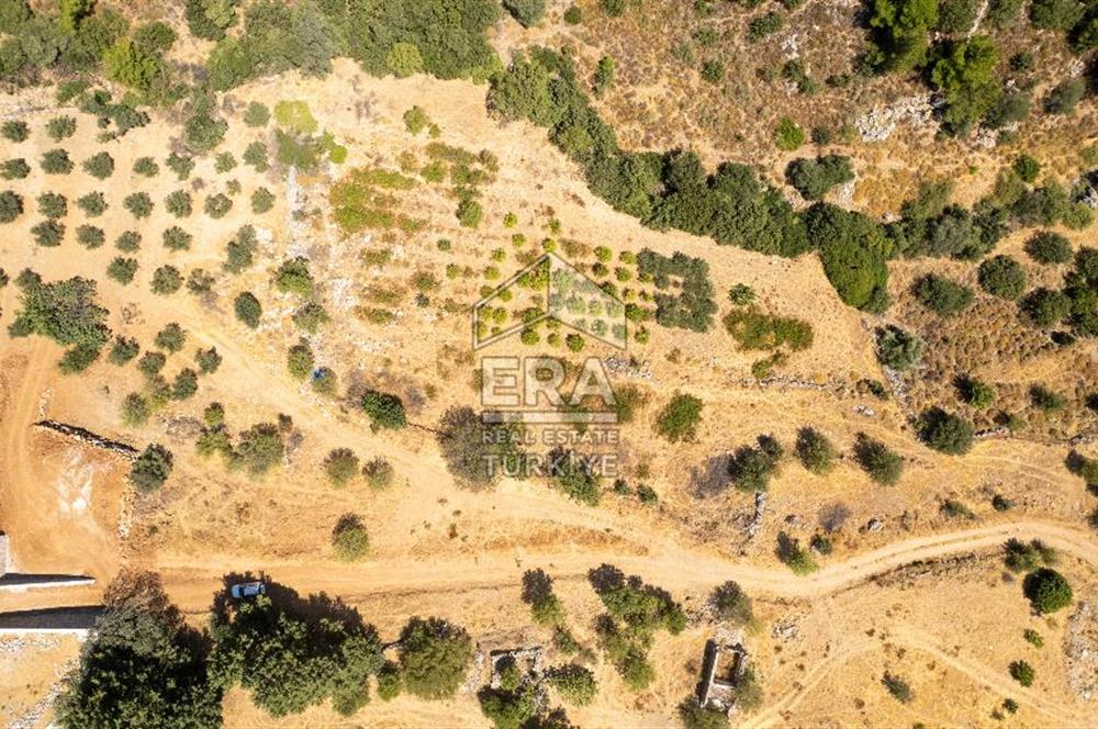 Datça Hızırşah'ta Satılık Deniz Manzaralı 1.051 m2 Tarla