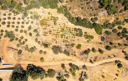 Datça Hızırşah'ta Satılık Deniz Manzaralı 1.051 m2 Tarla