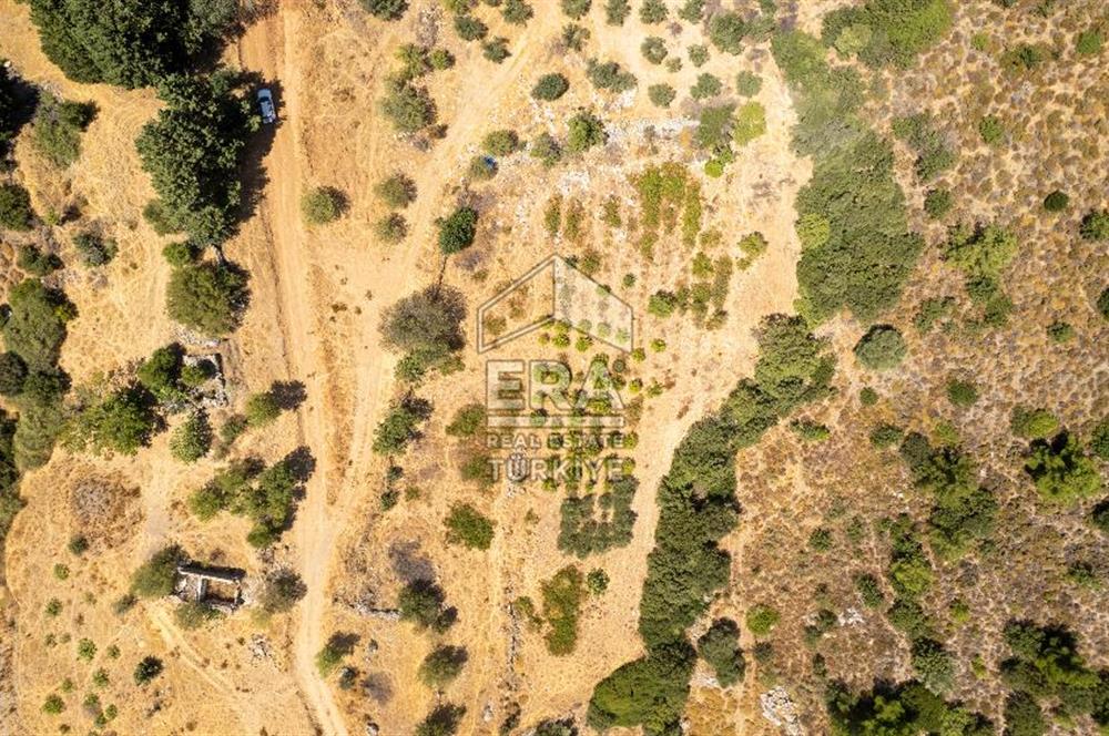 Datça Hızırşah'ta Satılık Deniz Manzaralı 1.051 m2 Tarla