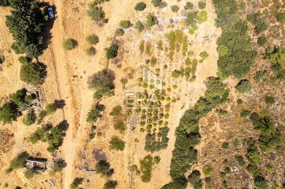 Datça Hızırşah'ta Satılık Deniz Manzaralı 1.051 m2 Tarla
