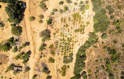 Datça Hızırşah'ta Satılık Deniz Manzaralı 1.051 m2 Tarla