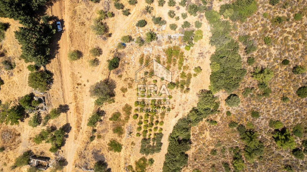 Datça Hızırşah'ta Satılık Deniz Manzaralı 1.051 m2 Tarla