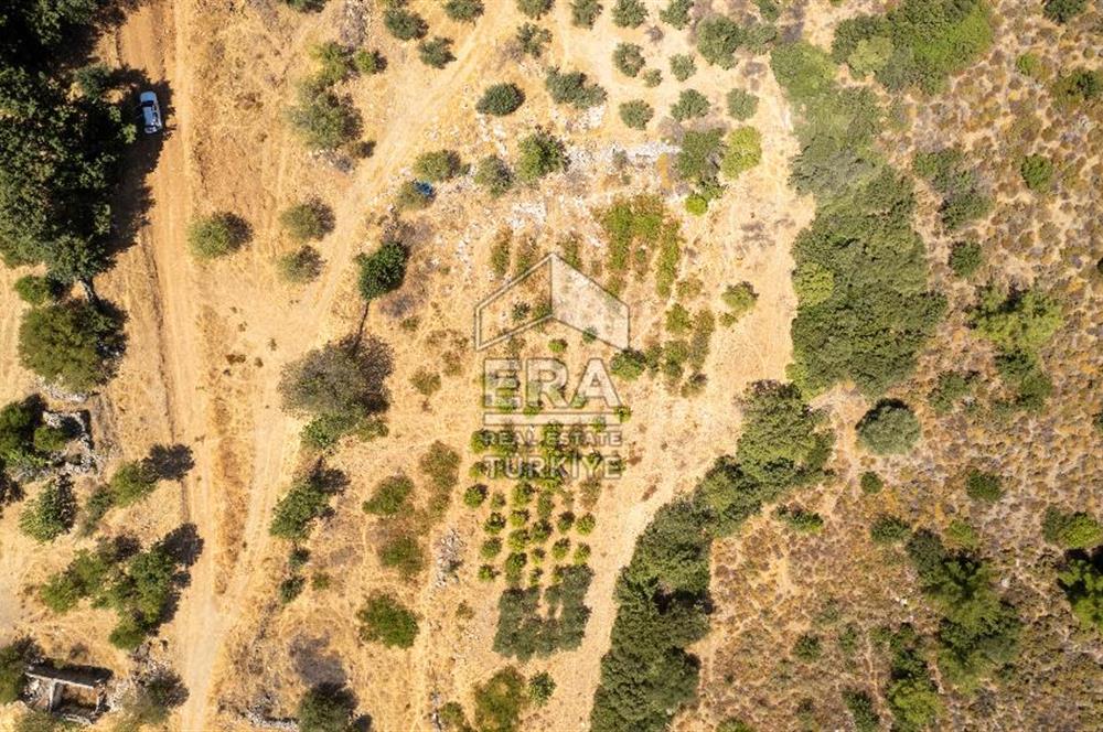 Datça Hızırşah'ta Satılık Deniz Manzaralı 1.051 m2 Tarla