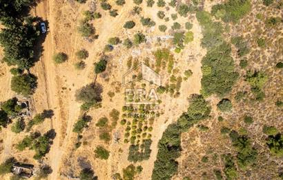 Datça Hızırşah'ta Satılık Deniz Manzaralı 1.051 m2 Tarla