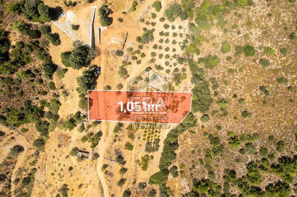 Datça Hızırşah'ta Satılık Deniz Manzaralı 1.051 m2 Tarla