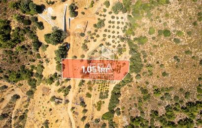 Datça Hızırşah'ta Satılık Deniz Manzaralı 1.051 m2 Tarla