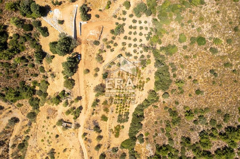 Datça Hızırşah'ta Satılık Deniz Manzaralı 1.051 m2 Tarla