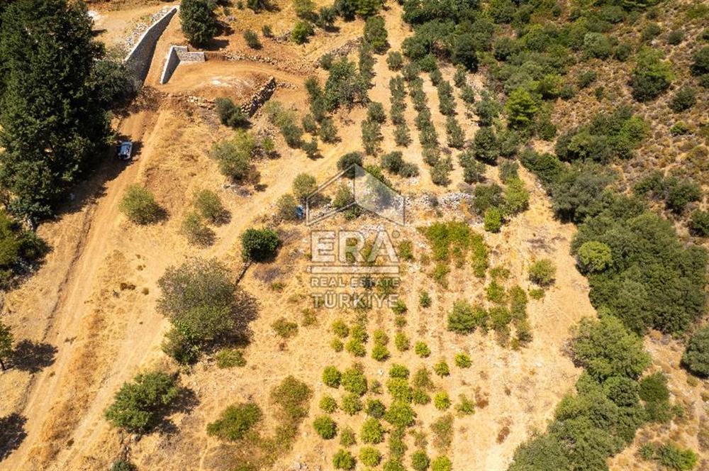 Datça Hızırşah'ta Satılık Deniz Manzaralı 1.051 m2 Tarla