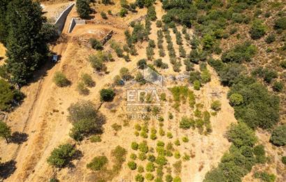 Datça Hızırşah'ta Satılık Deniz Manzaralı 1.051 m2 Tarla