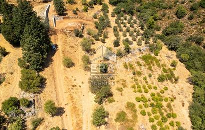 Datça Hızırşah'ta Satılık Deniz Manzaralı 1.051 m2 Tarla