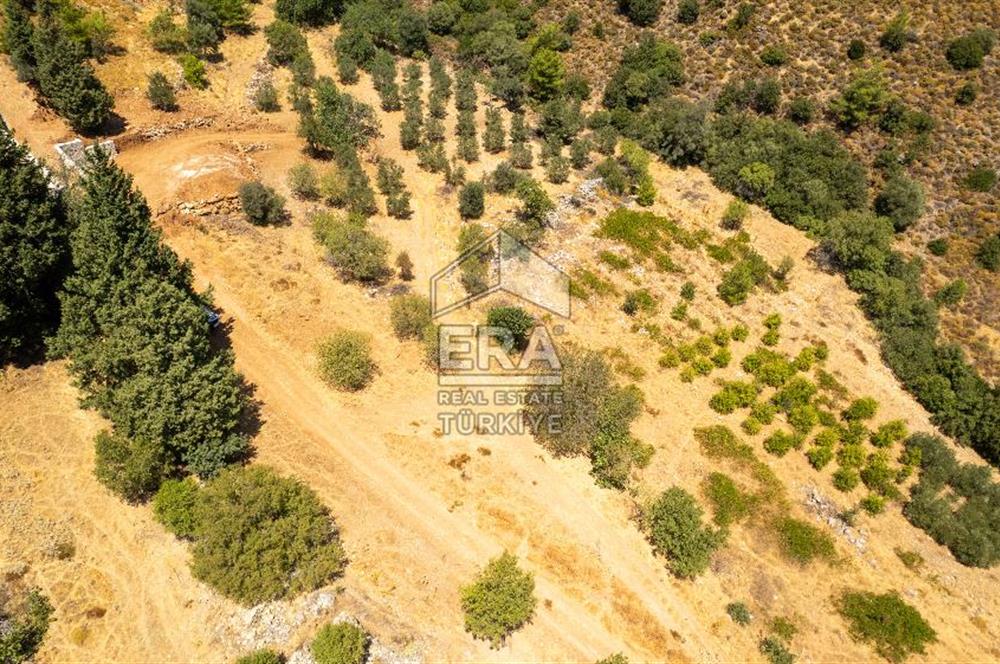 Datça Hızırşah'ta Satılık Deniz Manzaralı 1.051 m2 Tarla