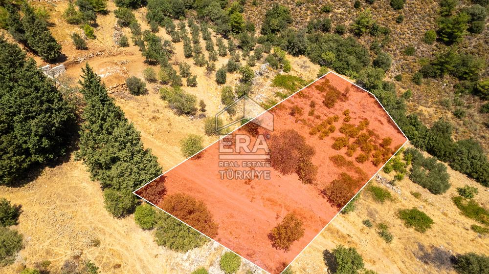 Datça Hızırşah'ta Satılık Deniz Manzaralı 1.051 m2 Tarla