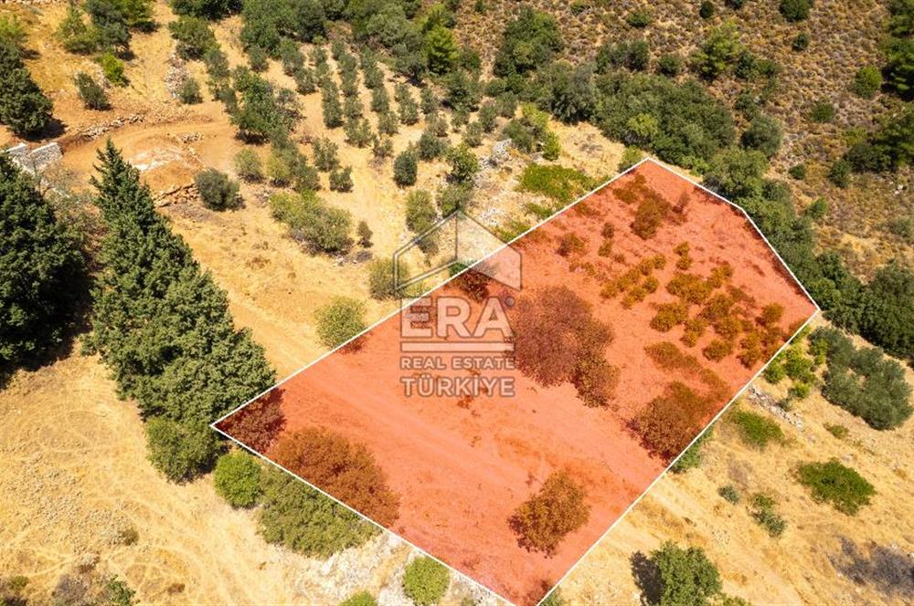 Datça Hızırşah'ta Satılık Deniz Manzaralı 1.051 m2 Tarla